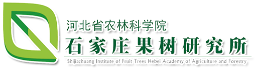 鈕子開關(guān)_船型開關(guān)廠家_撥動(dòng)開關(guān)-深圳市凱豐盈科技有限公司